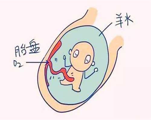 北京代孕包儿子_准妈妈饮食影响胎儿性别