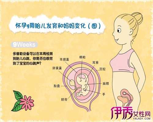 北京代孕包成功_孕妇骨密度正常还用补钙吗