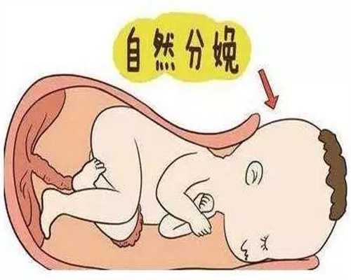 北京代孕地址_孕妇39周羊水少吃什么