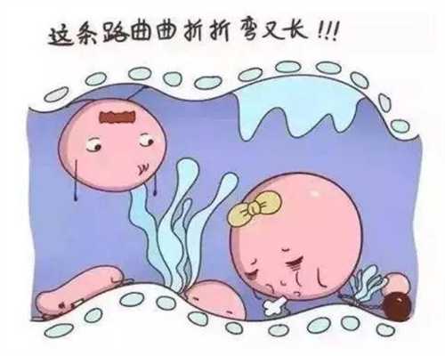北京代孕包性别_孕40周感冒咳嗽怎么办