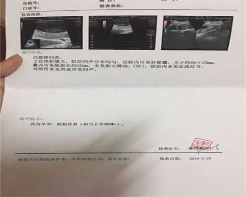 北京代孕机构_怀孕三个月胎儿能看出男女吗