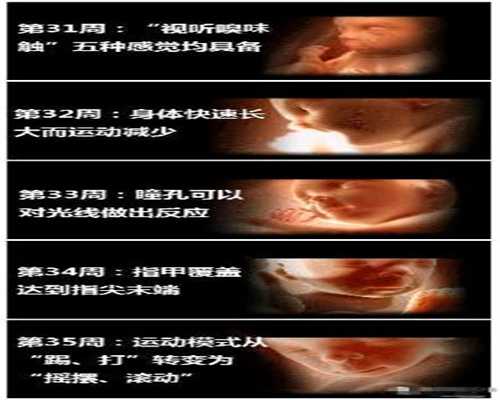 北京代孕免费咨询_尿检ph值6.5是怀孕了吗