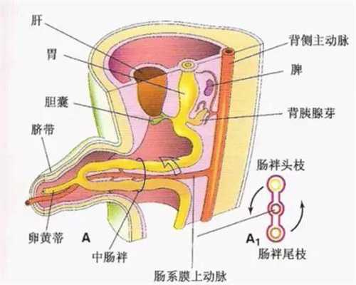 北京代孕免费咨询_尿检ph值6.5是怀孕了吗