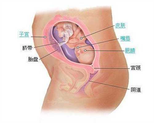 北京代孕官网_妇科有炎症能杀死精子吗