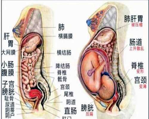 北京代孕一对一咨询_30岁子宫内膜癌b超表现