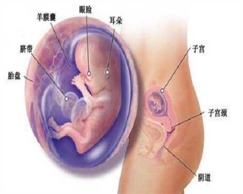 北京代孕一对一咨询_代孕网代生孩子价格_国外代