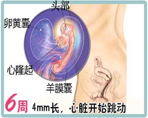 北京代孕一键咨询_代孕网站广州_代孕费用多少