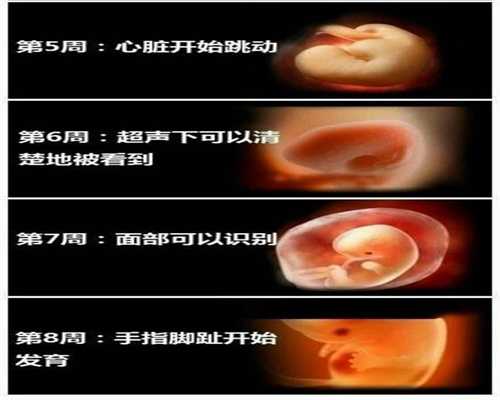 北京代孕免费咨询_代孕价格要多少_我国代孕的案
