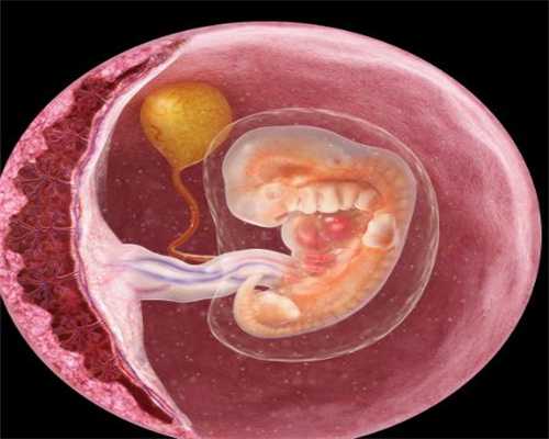哪个医院做代孕最好_怀孕中期怎么样能知道胎儿停止发育呢