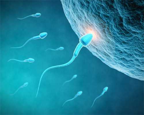 代孕生子公司_排卵期白带变化如何 排卵期是什么时候