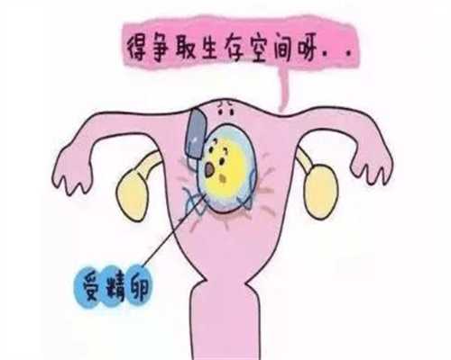 北京代孕收费~找北京代孕网~北京供卵试管着床率高吗