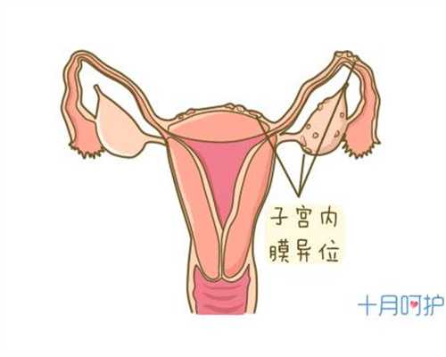北京代孕地址,北京代孕服务价格,北京现在代孕要多少钱