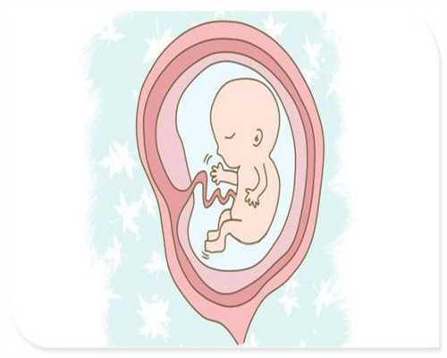 双胞胎代孕网-代孕网哪家靠谱-包成功代孕哪家放心