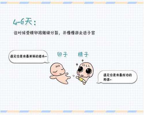 北京代孕套餐,北京代孕的收费标准,北京做代孕对人有伤害吗