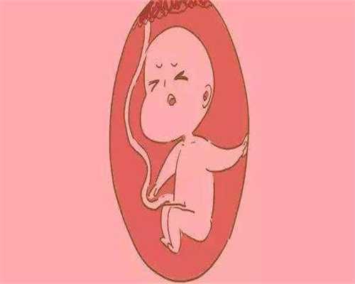 北京代孕靠谱吗_助孕和代孕的区别_代怀孕助孕机构