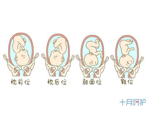 北京代孕靠谱吗_助孕和代孕的区别_代怀孕助孕机构