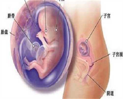 北京代孕咨询_国内正规代孕网_世纪找代怀孕