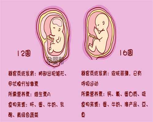 北京代孕医院_代怀孕哪里靠谱_代怀孕价格多少正常