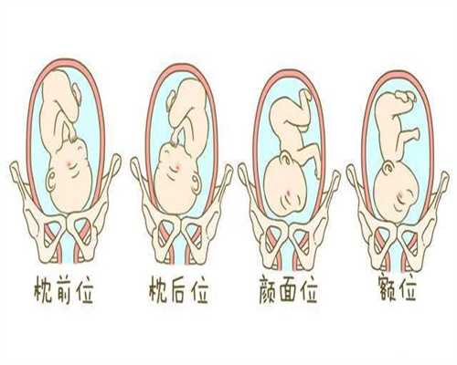 北京哪有代孕公司_北京试管婴儿最好的医院_男性不育有哪些检查项目