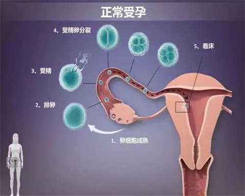 北京代孕过程的_北京试管婴儿专家告诉您：输卵管积水能做试管吗？