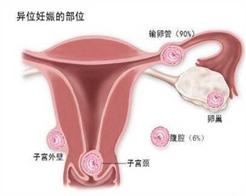 北京三代试管供卵助孕费用-代孕哪里可以找到_北京试管婴儿费用大概多少？