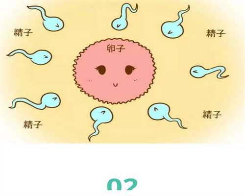 如何能找到可靠的代孕医院-北京试管代孕的成功率怎么样_北京试管婴儿更好的