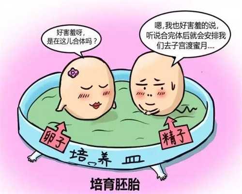 北京代孕产子技术顶尖-代孕双胞胎如何收费_网友分享：北京朝阳医院顺产先破