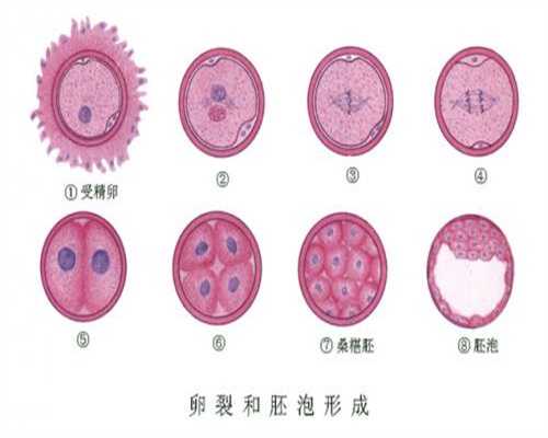北京代孕生个孩子-在哪可以找到代孕_医生为什么都打北京生物疫苗 二个原因供