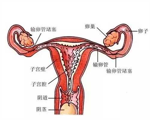 代孕移植是怎么做-北京合法代孕一般多少钱_北京十大月子中心排行榜一览表！