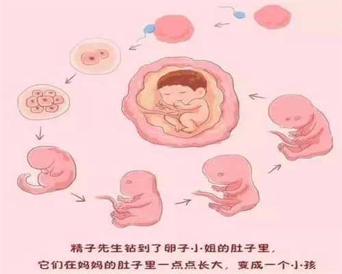 代孕产子价格需要多-北京代孕找什么人合适_北京中医药大学东方医院好不好？