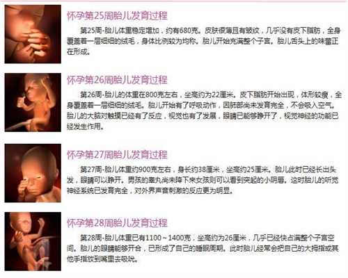 北京关于供卵的一些问题-试管胚胎代孕_孕妈经验分享： 北京妇产医院产科怀孕