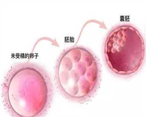 代孕价格网-北京公立医院供卵要求_521我爱你，互联护苗，北京试管婴儿的利弊