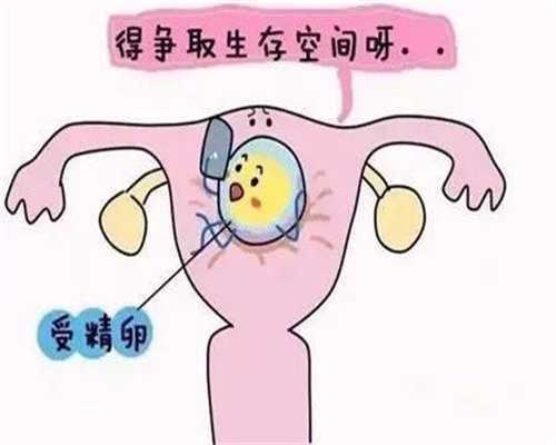 代孕是人工搜精吗-北京代孕生孩子多少钱_50岁高龄在北京“自卵”做试管婴儿
