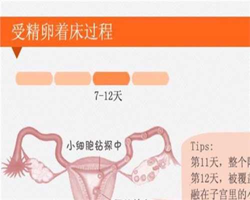 北京代孕程序-代孕产子的价格_北京美中怡和妇幼医院收费标准(北京市海淀区月